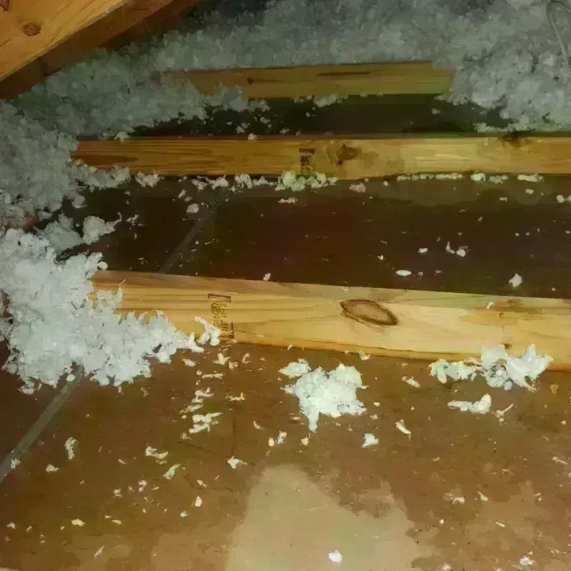 Attic Water Damage in Pasadena, TX