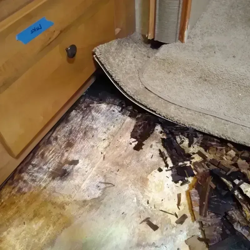 Wood Floor Water Damage in Pasadena, TX